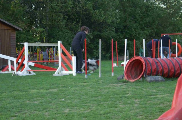 agility 2011-04